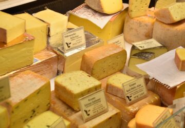 assorted pile of cheese