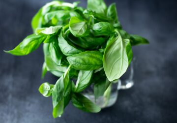 green plant on clear glass vase