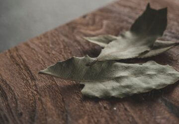 a couple of leaves that are on a table