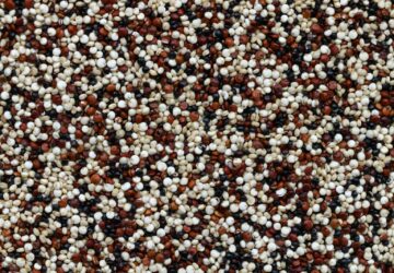 brown and white pebbles on ground