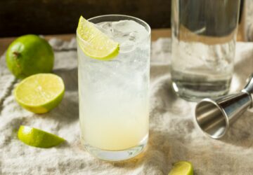 Boozy Alcoholic Lime Gin Rickey Cocktail