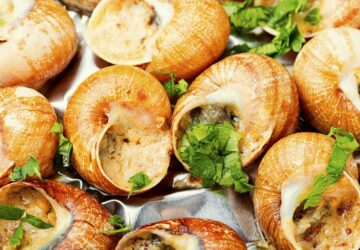 Bourgogne escargot snails