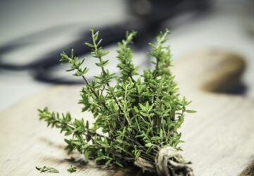 bunch of thyme