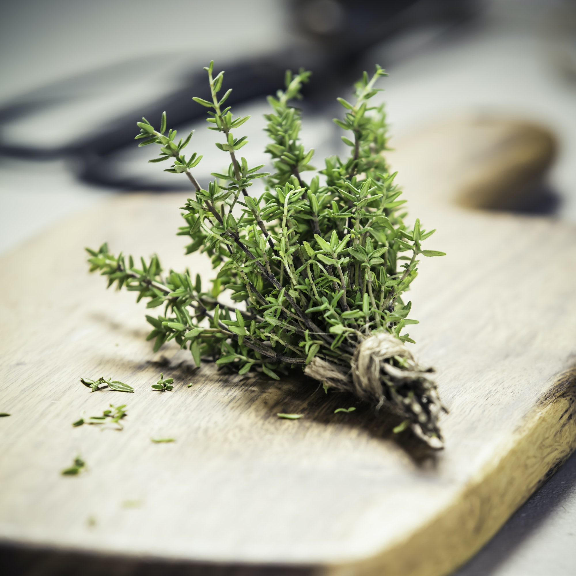 bunch of thyme