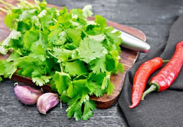 Cilantro fresh with garlic on board