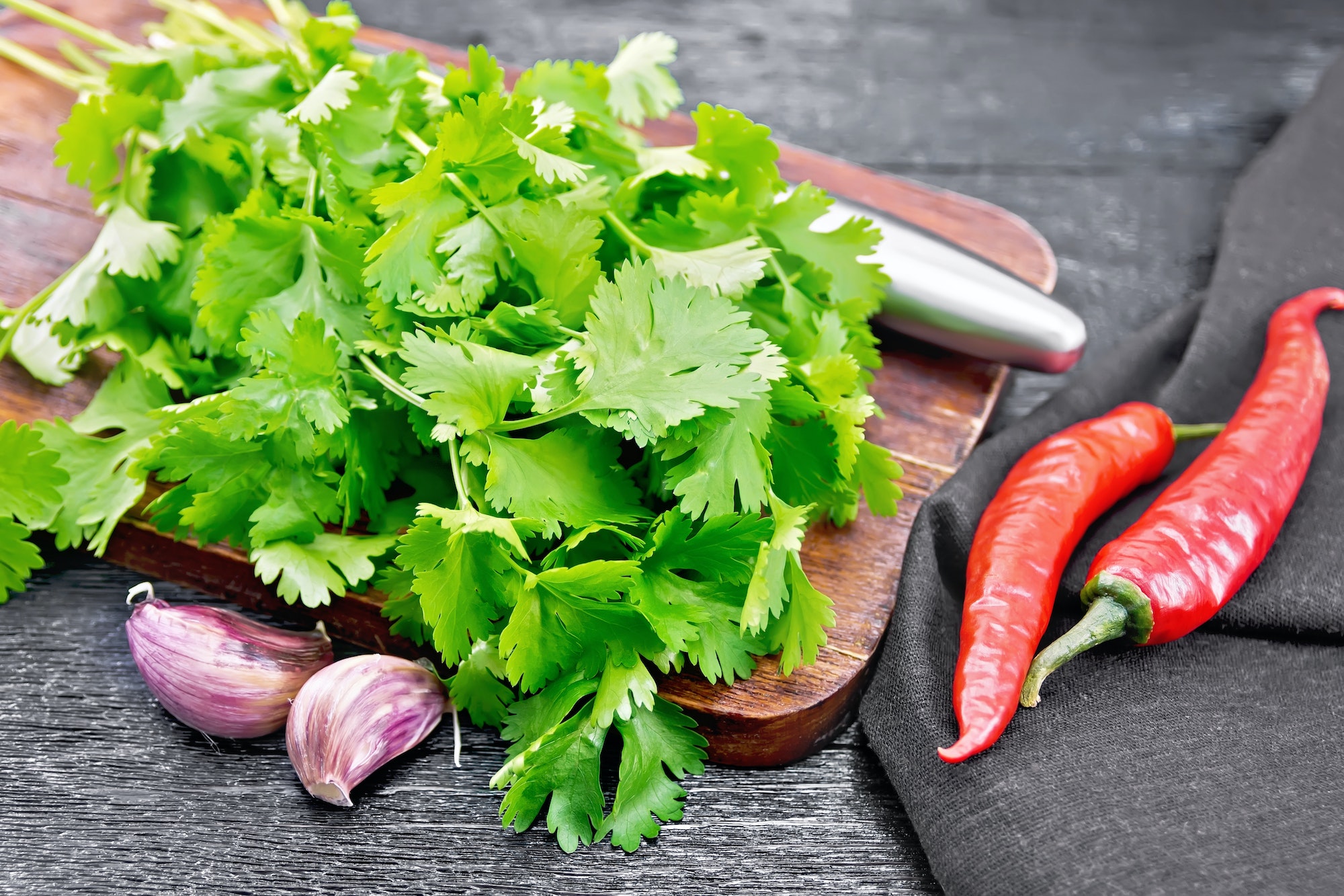 Cilantro fresh with garlic on board