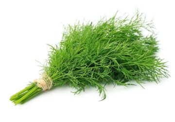 Fresh dill