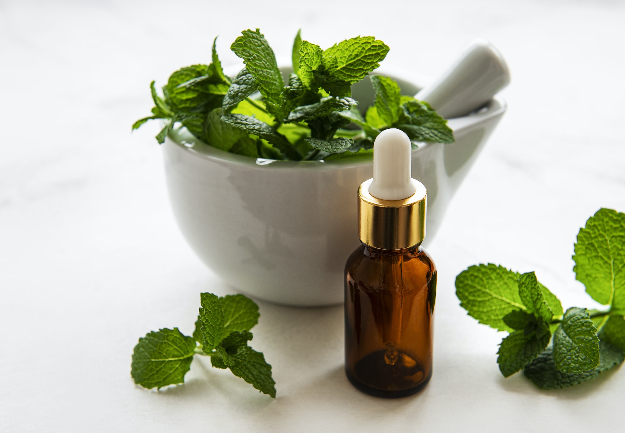 Mint oil and fresh mint