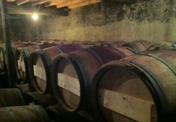 Underground French chateau keeping barrels of wine in controlled environment, sommelier